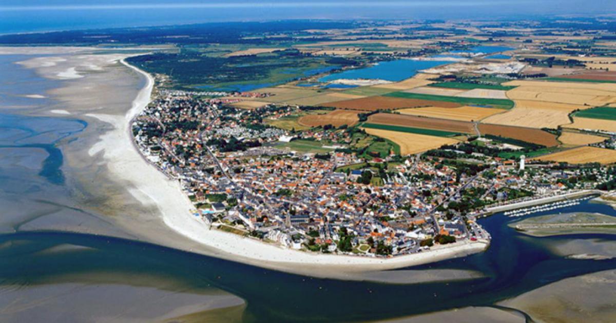 À la rencontre des phoques de la Baie de Somme | Le ...
