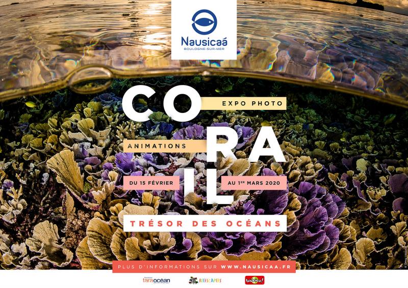 Affiche de l'expo "Corail", à voir jusqu'au 1er mars à Nausicaá Affiche de l'expo "Corail", à voir jusqu'au 1er mars à Nausicaá