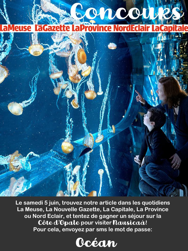 Concours Nausicaa Sud Presse