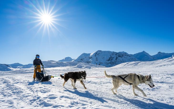 ORCIÈRES MERLETTE Chiens de traineau